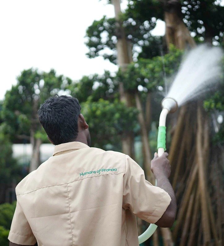 Pranaa Lush Landscaping